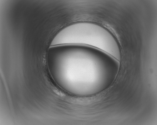 X0000070360017200606090811