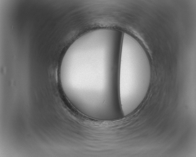 X0000070360019200606090811