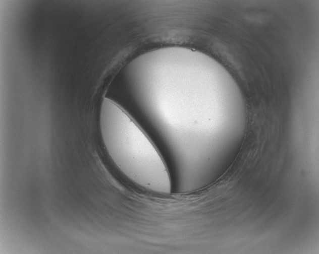 X0000070360020200606090811