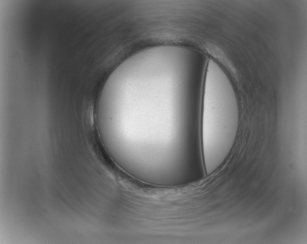 X0000070360021200606090811