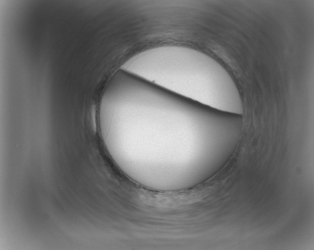 X0000070360022200606090811