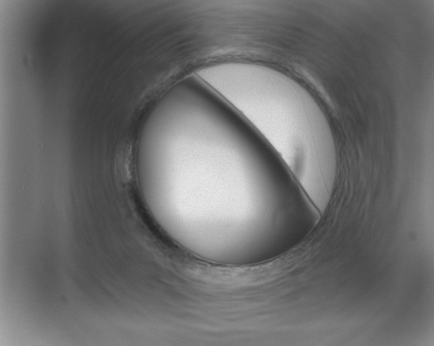 X0000070360023200606090811