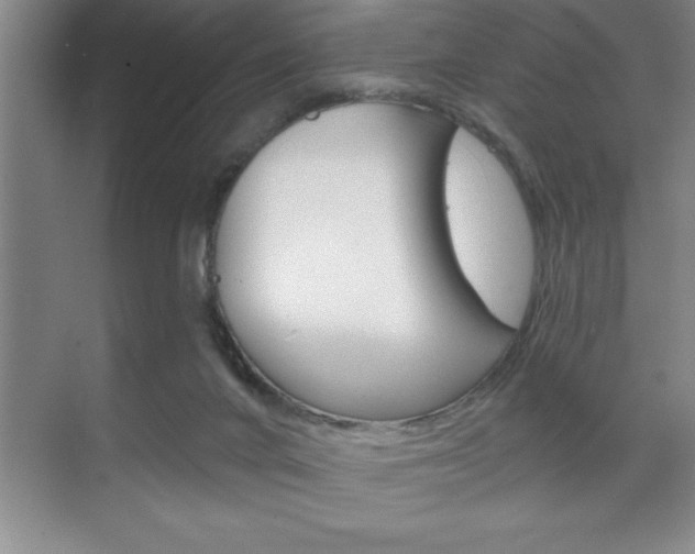 X0000070360024200606090811