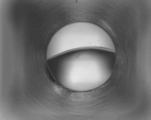 X0000070360025200606090811