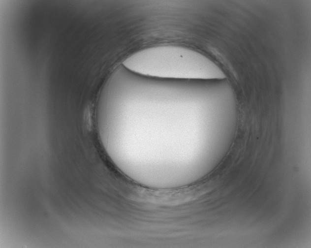 X0000070360026200606090811