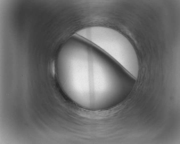 X0000070360027200606090811