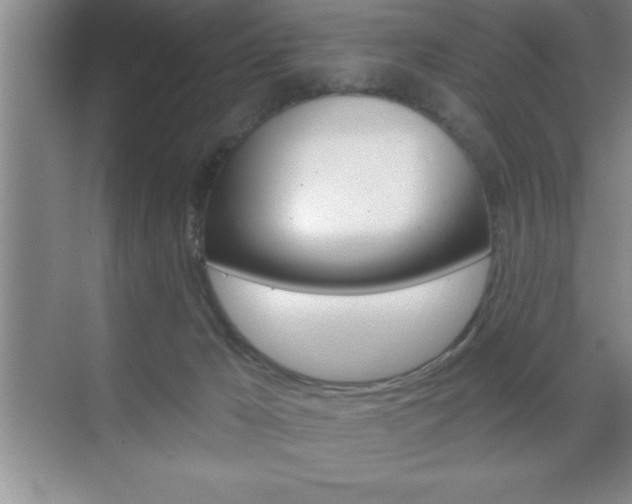 X0000070360029200606090811