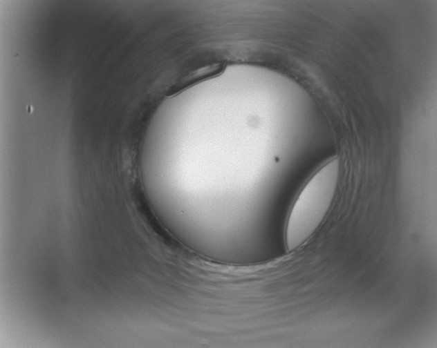 X0000070360031200606090811