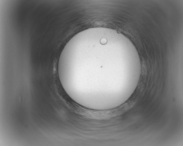 X0000070360032200606090811