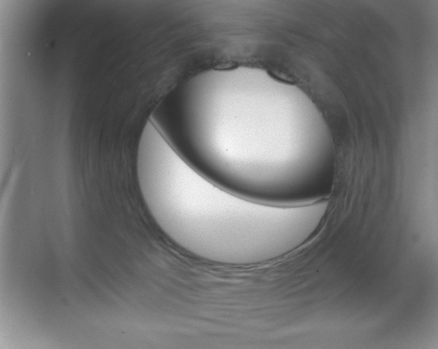 X0000070360033200606090811