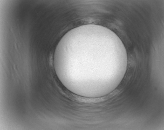 X0000070360036200606090811