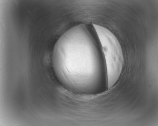 X0000070360037200606090811