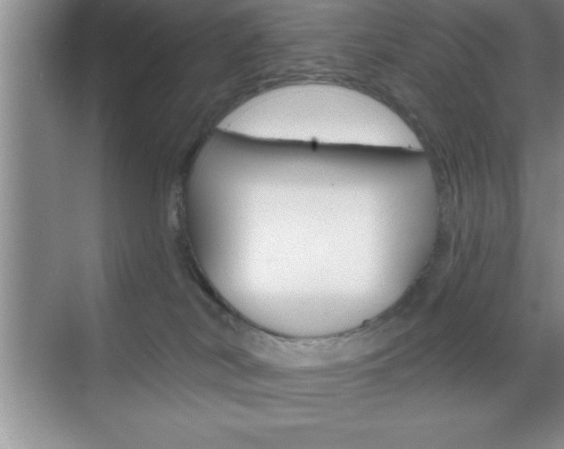 X0000070360038200606090811