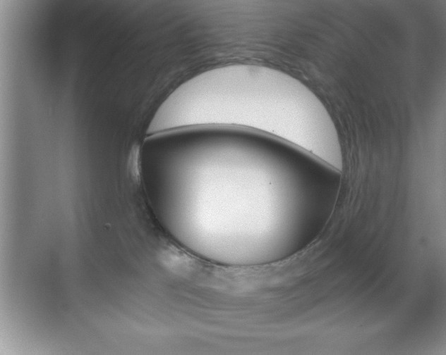 X0000070360041200606090811