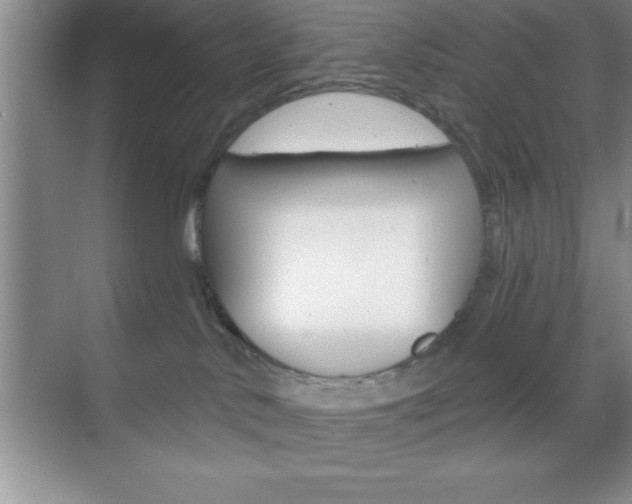 X0000070360042200606090811