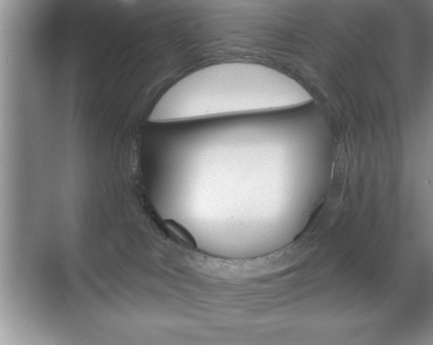 X0000070360043200606090811