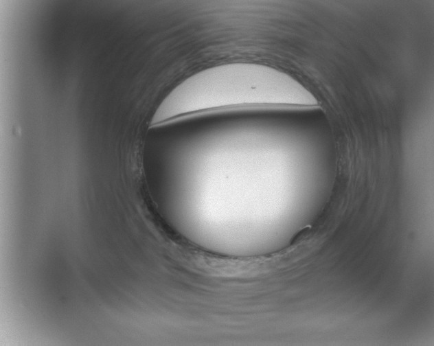 X0000070360044200606090811