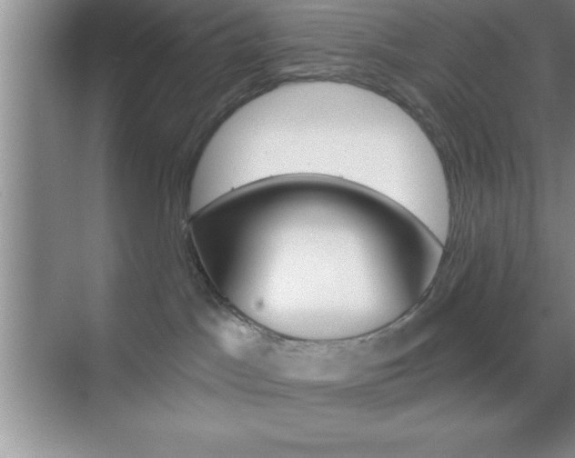 X0000070360045200606090811