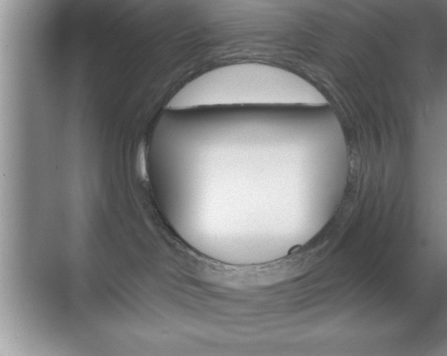 X0000070360046200606090811