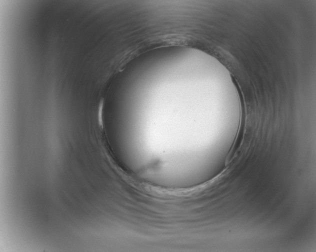 X0000070360047200606090811