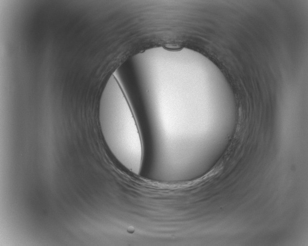 X0000070360048200606090811