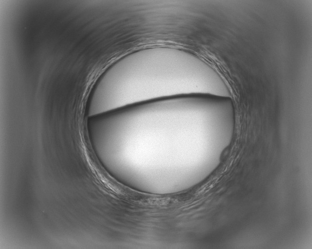 X0000070360049200606090810