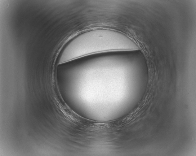 X0000070360050200606090810