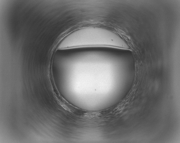 X0000070360051200606090810