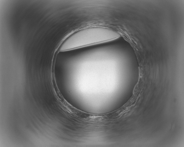 X0000070360052200606090810