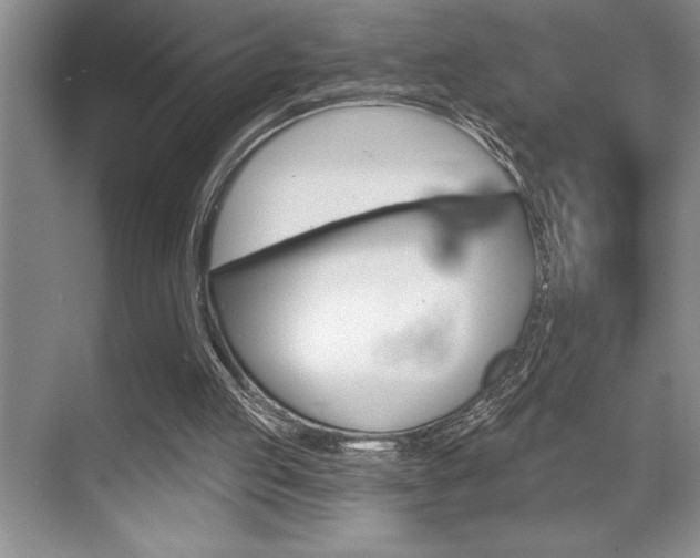 X0000070360053200606090810