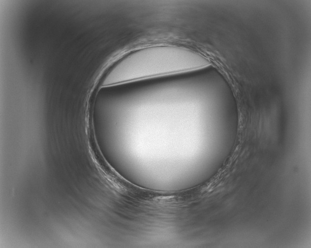 X0000070360054200606090810