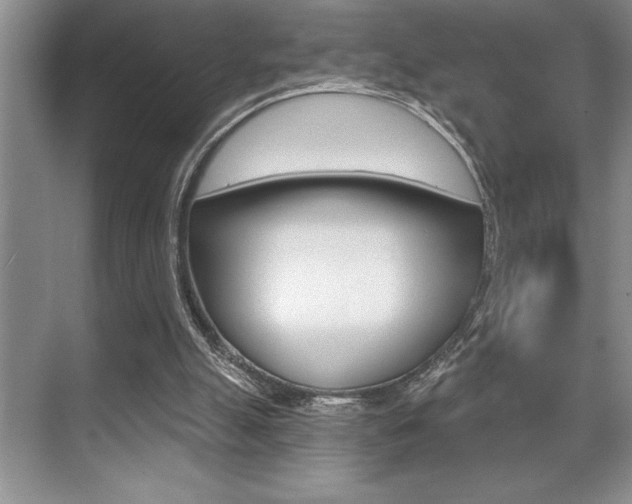 X0000070360055200606090810