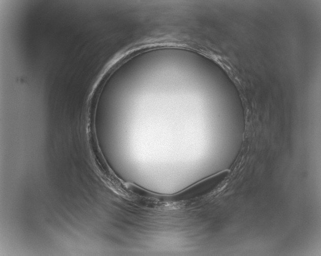 X0000070360056200606090810