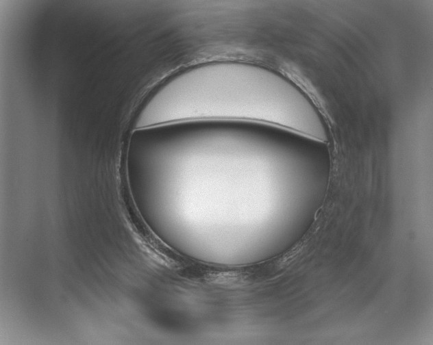 X0000070360058200606090810