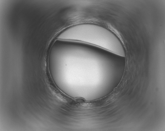 X0000070360059200606090810