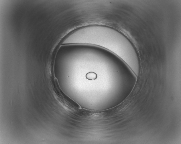 X0000070360060200606090810