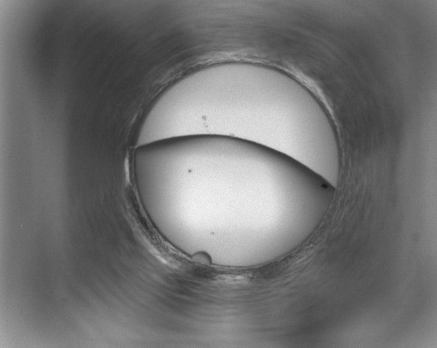 X0000070360061200606090810