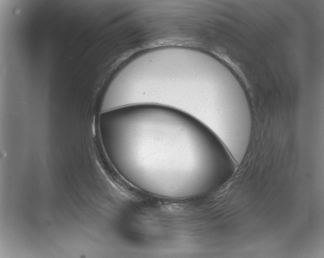 X0000070360062200606090810