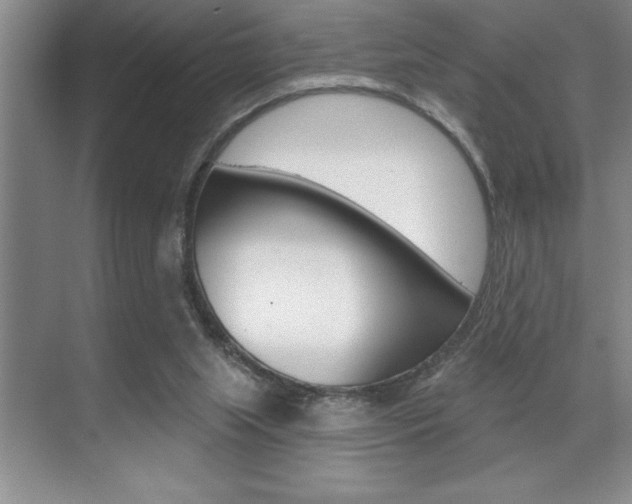 X0000070360063200606090810