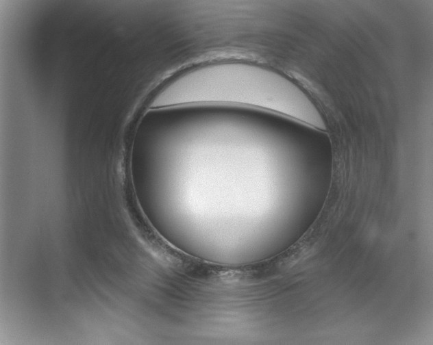 X0000070360064200606090810