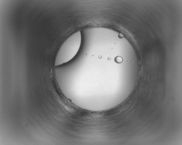 X0000070360065200606090810