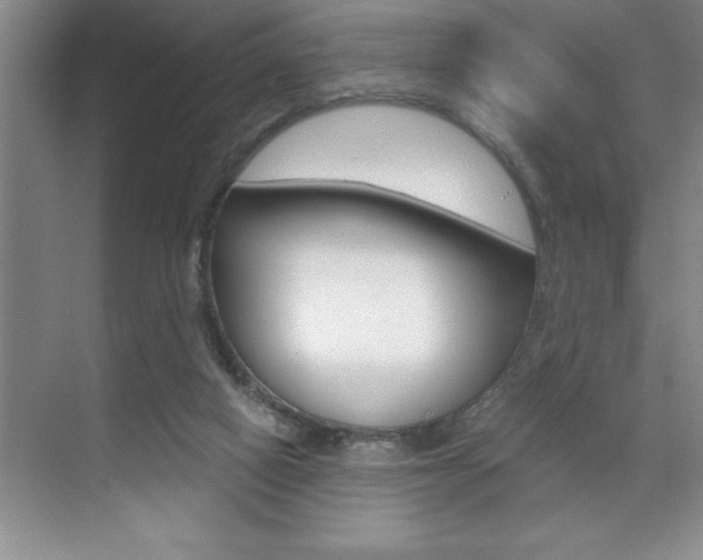 X0000070360066200606090810