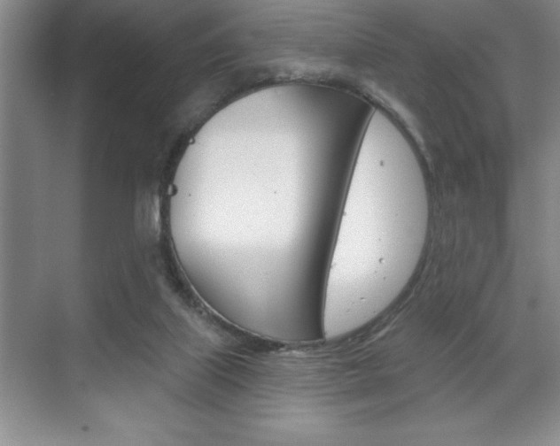 X0000070360067200606090810