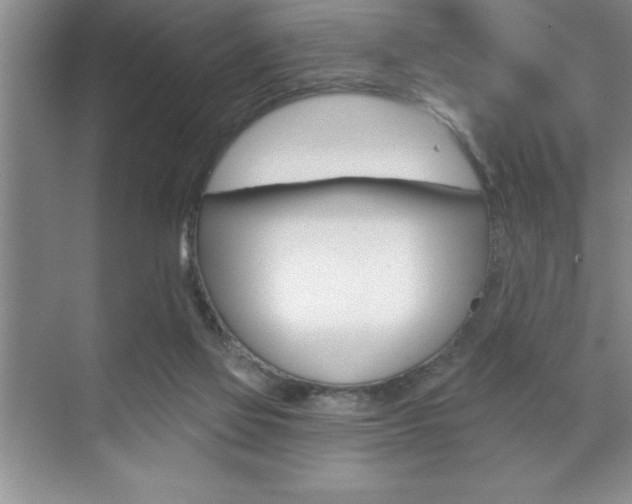 X0000070360069200606090810