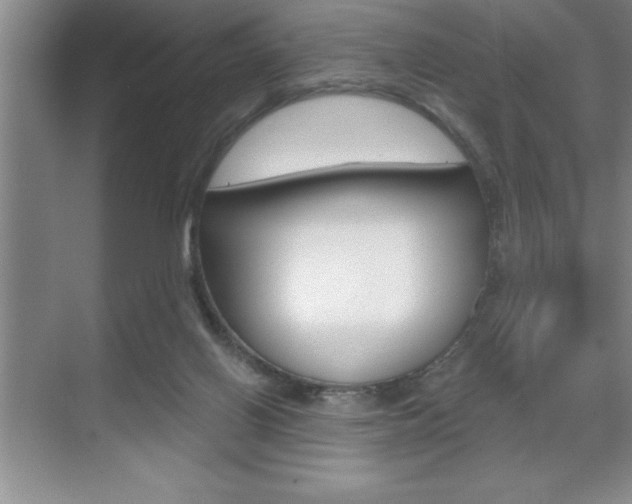 X0000070360070200606090810