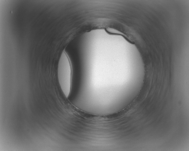 X0000070360073200606090811