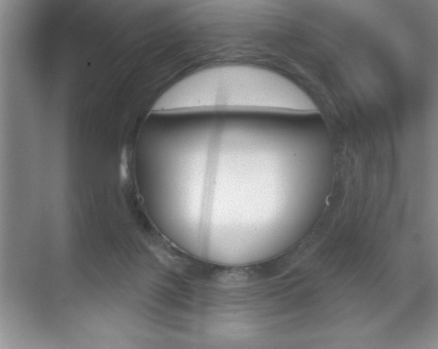 X0000070360075200606090811