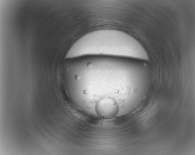 X0000070360078200606090811