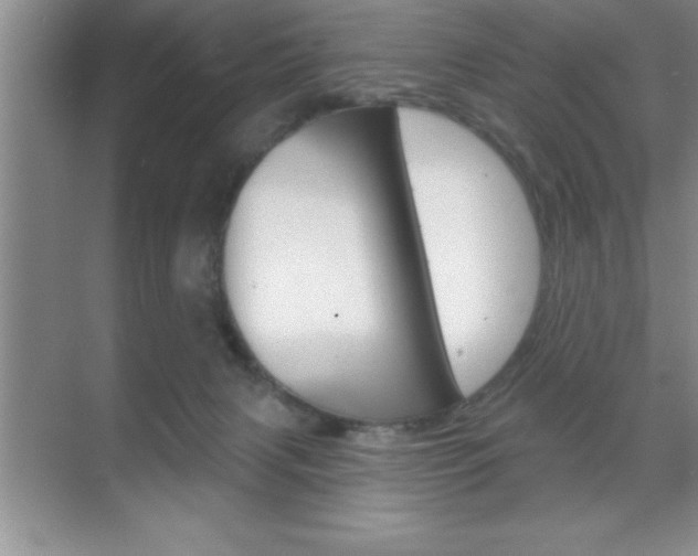 X0000070360079200606090811