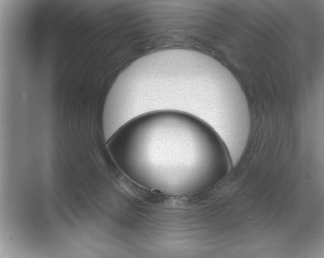 X0000070360080200606090811